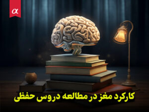 کارکرد مغز در مطالعه دروس حفظی مشاوران آلفا احمد احمدی