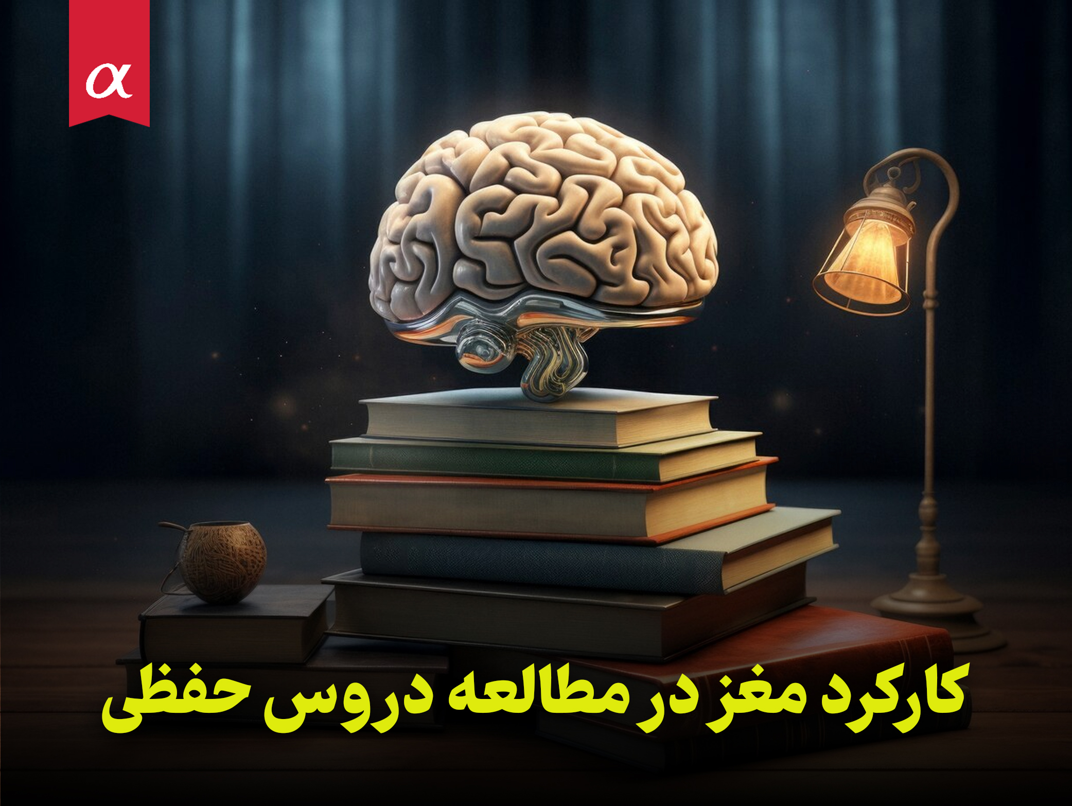 کارکرد مغز در مطالعه دروس حفظی